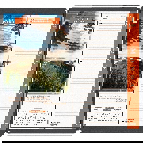 REFILL,4CLR CAL/17 IMAGES